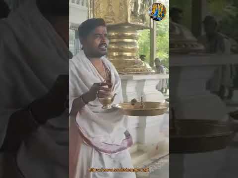 అన్నప్రసాదం Annaprasadam 2025 06 30 #pallakiseva,#annaprasadam,#hindutemple