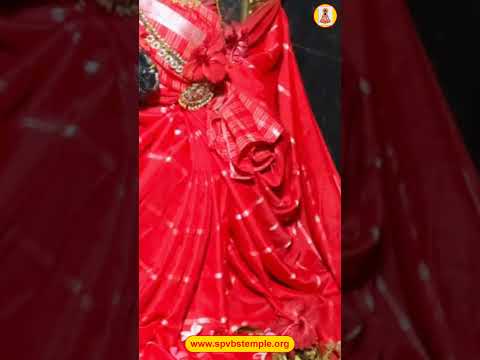 అన్నప్రసాదం,పల్లకిసేవ జూన్ 22nd , 2026